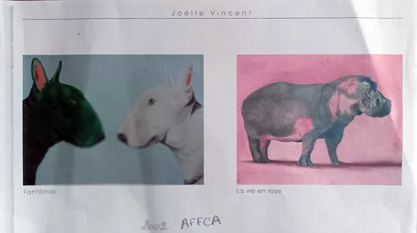 Journée de l'AFFCA, Paris